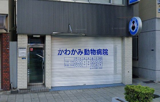近くのかわかみ動物病院まで354m（徒歩5分）