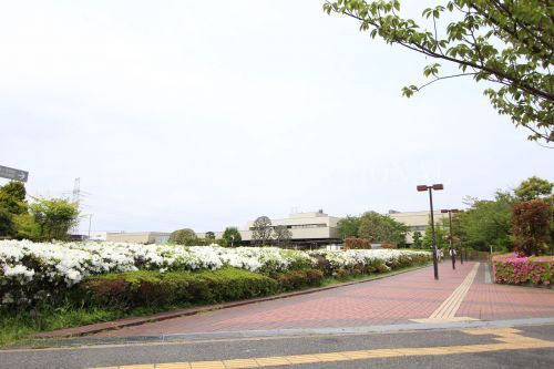 近くの浦安市立中央図書館まで541m（徒歩7分）