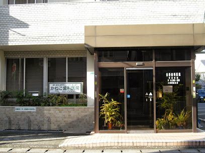 近くの金香歯科医院まで395m（徒歩5分）