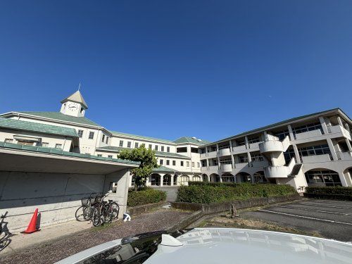 近くの徳島市立加茂名南小学校まで713m（徒歩9分）