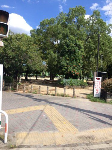 近くの大枝公園まで603m（徒歩8分）