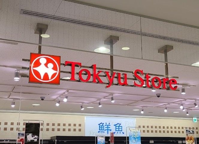 近くの武蔵小山駅ビル 東急ストアまで548m（徒歩7分）