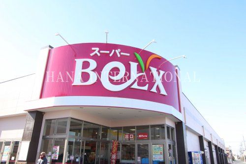 近くのベルクス南越谷店まで738m（徒歩10分）