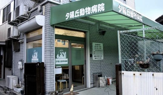 近くの夕陽丘動物病院まで764m(徒歩10分)