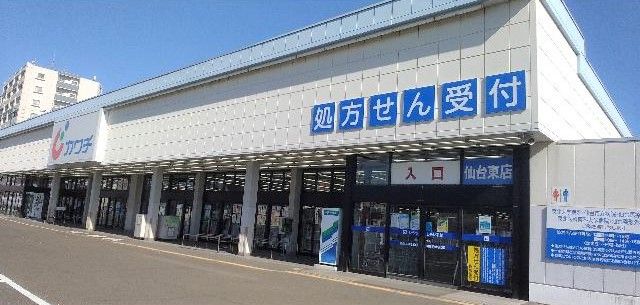 近くのカワチ薬品　仙台東店まで667m（徒歩9分）
