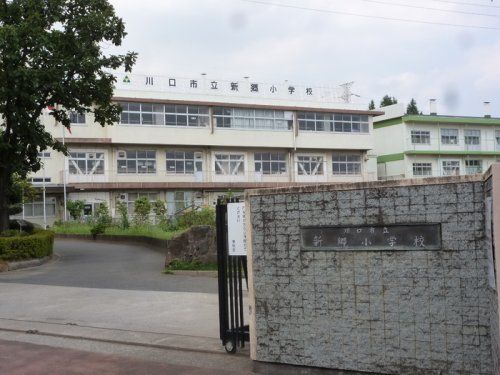 近くの川口市立新郷小学校まで734m（徒歩10分）