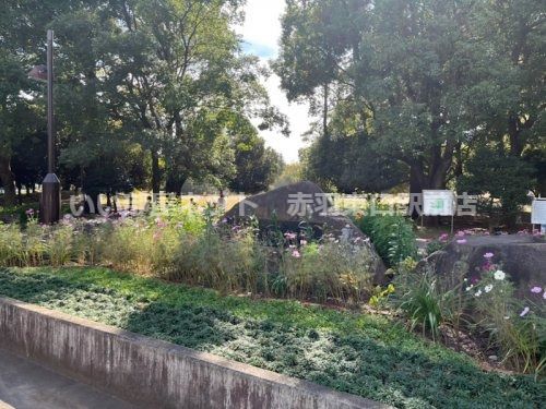 近くの光が丘公園まで1,255m（徒歩16分）