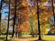 近くの秋ヶ瀬公園まで5,285m（徒歩67分）