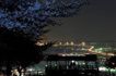 近くの青ノ山山頂展望台まで3,658m(徒歩46分)