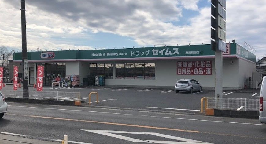近くのドラッグセイムス 茂原町保店まで2,768m（徒歩35分）