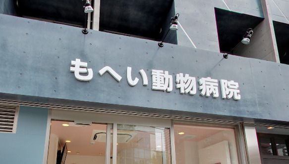 近くのもへい動物病院まで1,377m（徒歩18分）