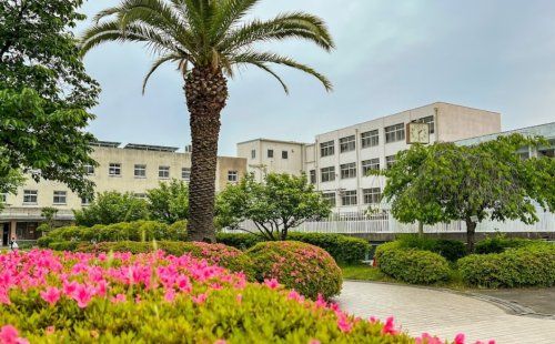 近くの大阪市立東淡路小学校まで207m（徒歩3分）
