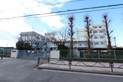 近くの八潮市立大原中学校まで557m(徒歩7分)
