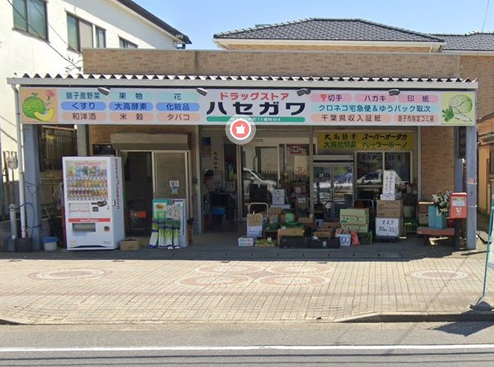 近くの長谷川ドラッグストアまで1,066m(徒歩14分)