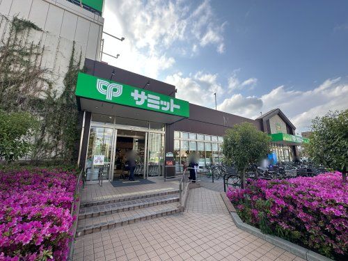 近くのサミットストア 羽衣いちょう通り店まで659m(徒歩9分)