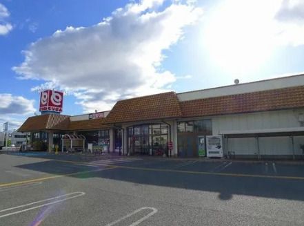 近くのとりせん 東矢島店まで766m（徒歩10分）
