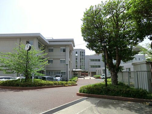 近くの横須賀市立桜小学校まで724m（徒歩10分）