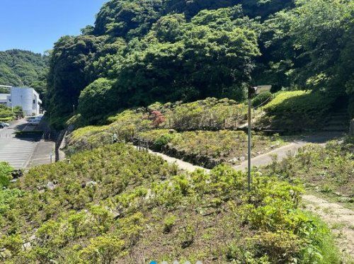近くの花の木公園まで631m（徒歩8分）