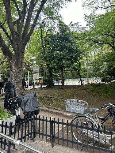 近くの大井公園まで213m（徒歩3分）