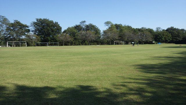 近くの玉村町東部運動場まで181m（徒歩3分）