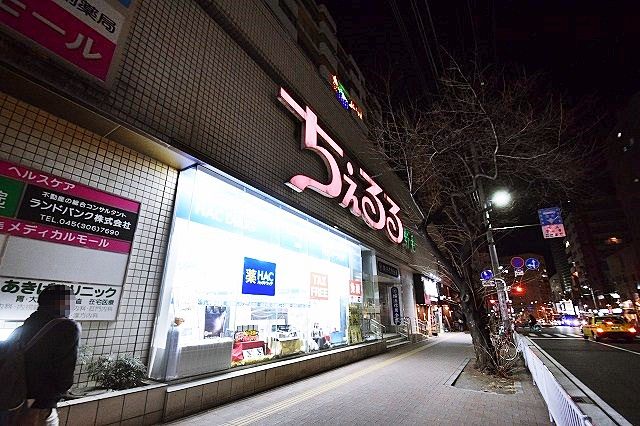 近くのちぇるる野毛まで825m（徒歩11分）