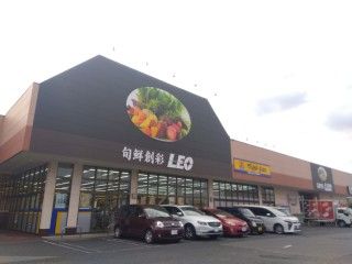 近くのレオ市原店まで736m（徒歩10分）