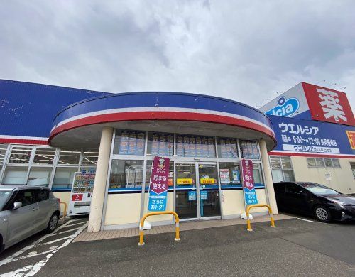 近くのウエルシア　笹崎店まで351m（徒歩5分）