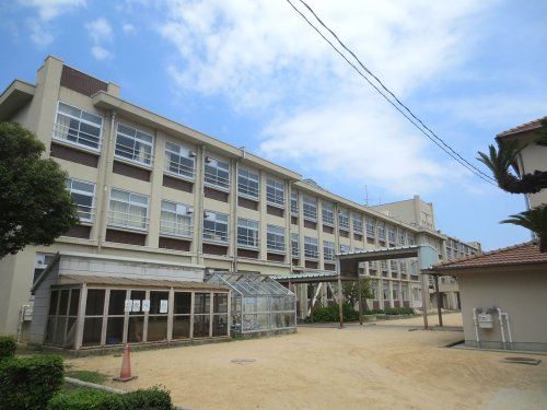 近くの神戸市立住吉小学校まで541m(徒歩7分)