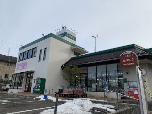 近くのみやぎ生協　貝ヶ森店まで872m（徒歩11分）