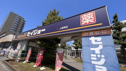 近くのココカラファインくすりセイジョー上福岡店まで459m（徒歩6分）