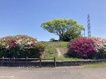 近くの積石塚古墳まで1,683m（徒歩22分）