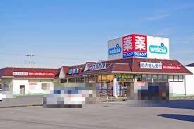 近くのウエルシア太田石原店まで343m（徒歩5分）