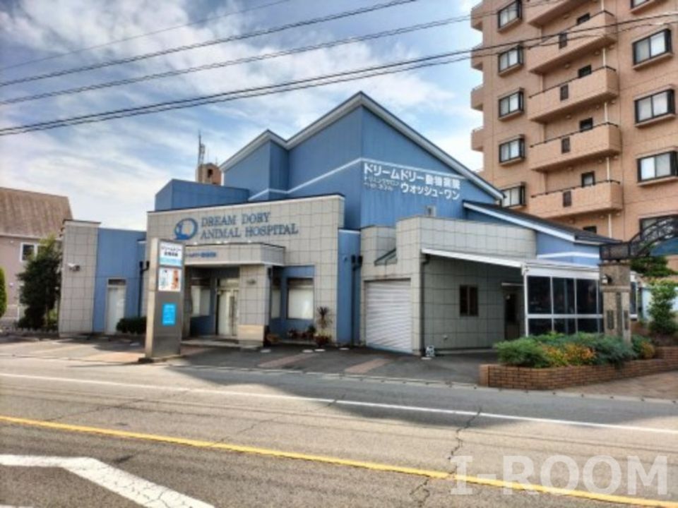 近くのドリームドリー動物病院まで730m（徒歩10分）