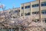 近くの神戸市立桜の宮小学校まで654m（徒歩9分）