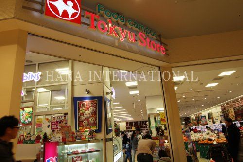 近くの東急ストアららぽーと柏の葉店まで2,469m(徒歩31分)