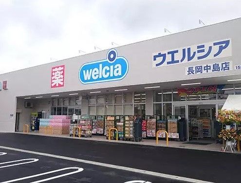 近くのウエルシア長岡中島店まで737m（徒歩10分）