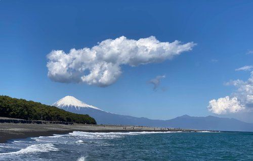 近くの羽衣公園まで324m(徒歩5分)
