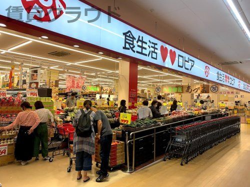 近くのロピア 蘇我島忠ホームズ店まで348m（徒歩5分）