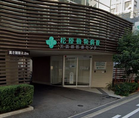 近くの松原動物病院天満医療センターまで905m(徒歩12分)