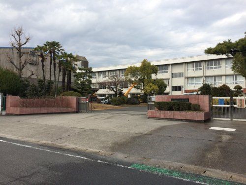 近くの小学校まで244m（徒歩4分）