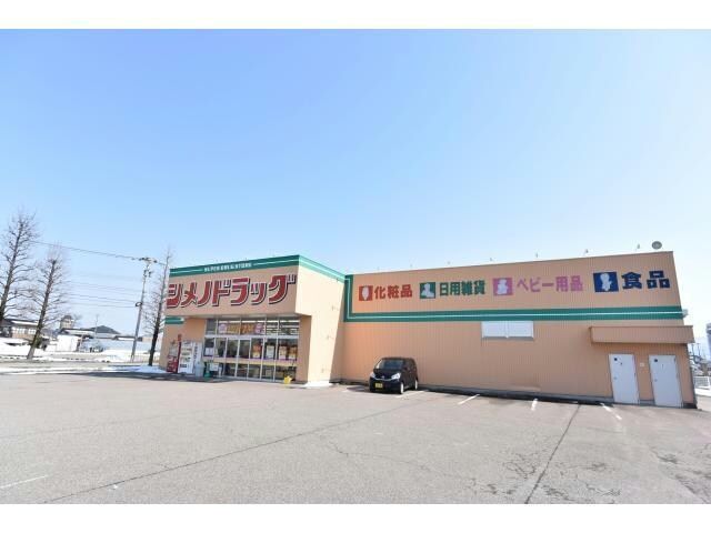 近くのシメノドラッグ福野店まで735m(徒歩10分)