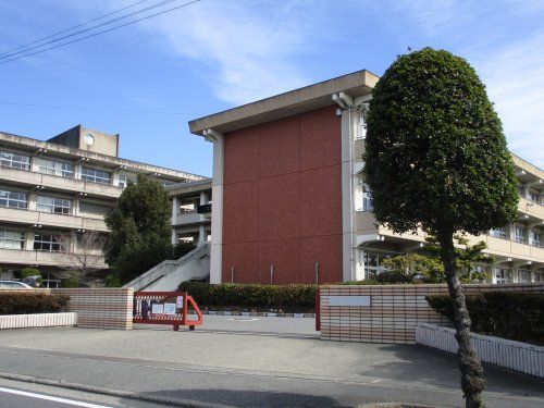 近くの一宮市立尾西第一中学校まで650m(徒歩9分)