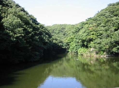 近くの久木大池公園まで1,210m（徒歩16分）