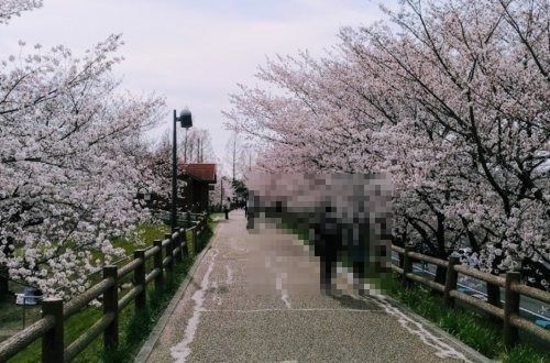 近くの打上川治水緑地まで480m(徒歩6分)