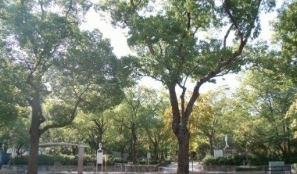 近くの中央公園まで2,134m（徒歩27分）