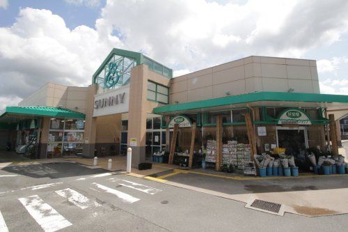 近くのサニー森林都市店まで1,271m（徒歩16分）