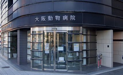 近くの大阪動物病院まで166m（徒歩3分）