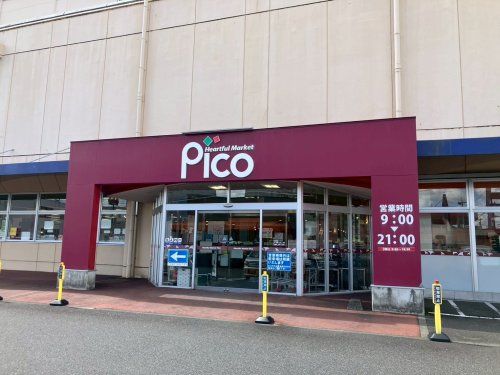 近くのピコ（株式会社タイヘイ）まで424m（徒歩6分）