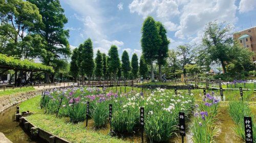 近くのしょうぶ沼公園まで679m（徒歩9分）
