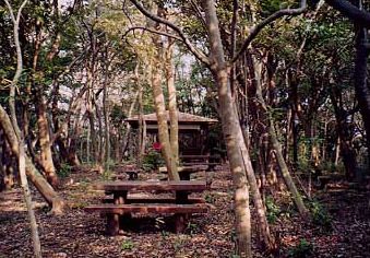 近くのはやま三ヶ岡緑地まで2,202m（徒歩28分）